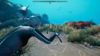 Beyond Blue – играта, която ще ви донесе невероятно подводно приключение Beyond Blue – играта, която ще ви донесе невероятно подводно приключение